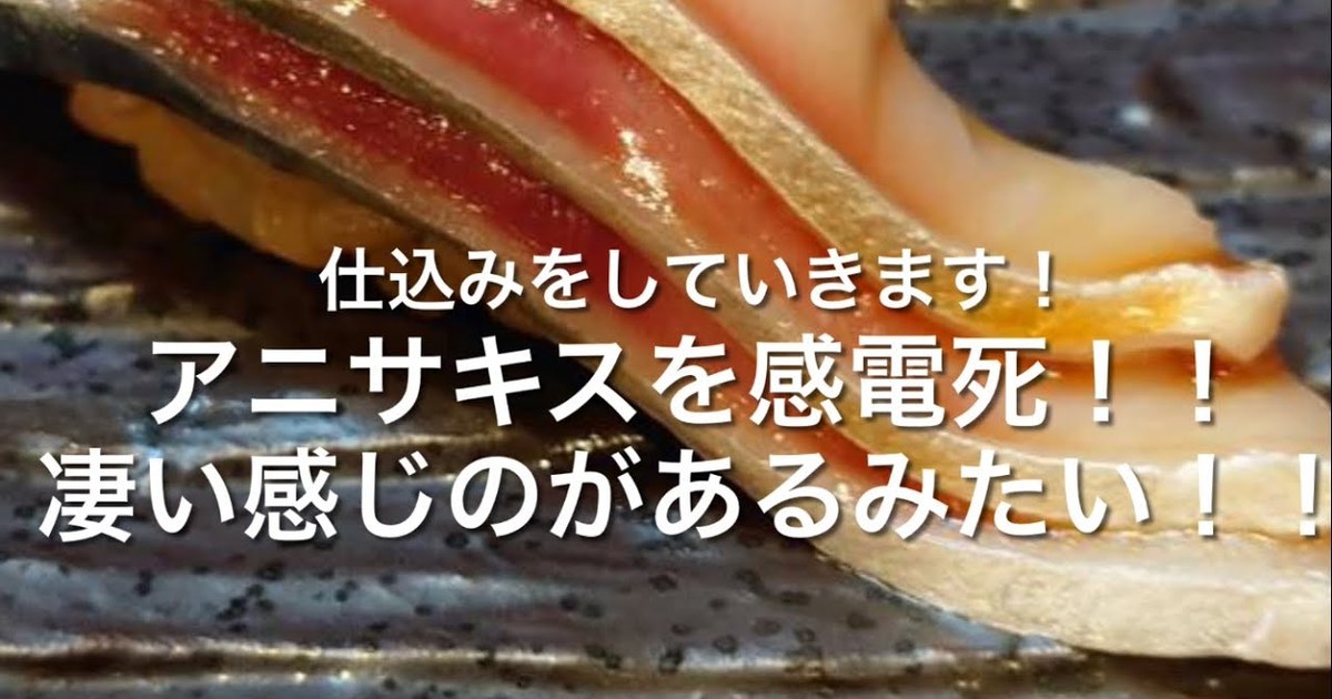 鎌ケ谷のねぎお寿司、YouTube再生されてます | 鎌ヶ谷の寿司屋